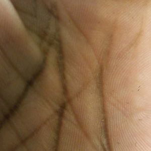 Meet your Posher, Devon